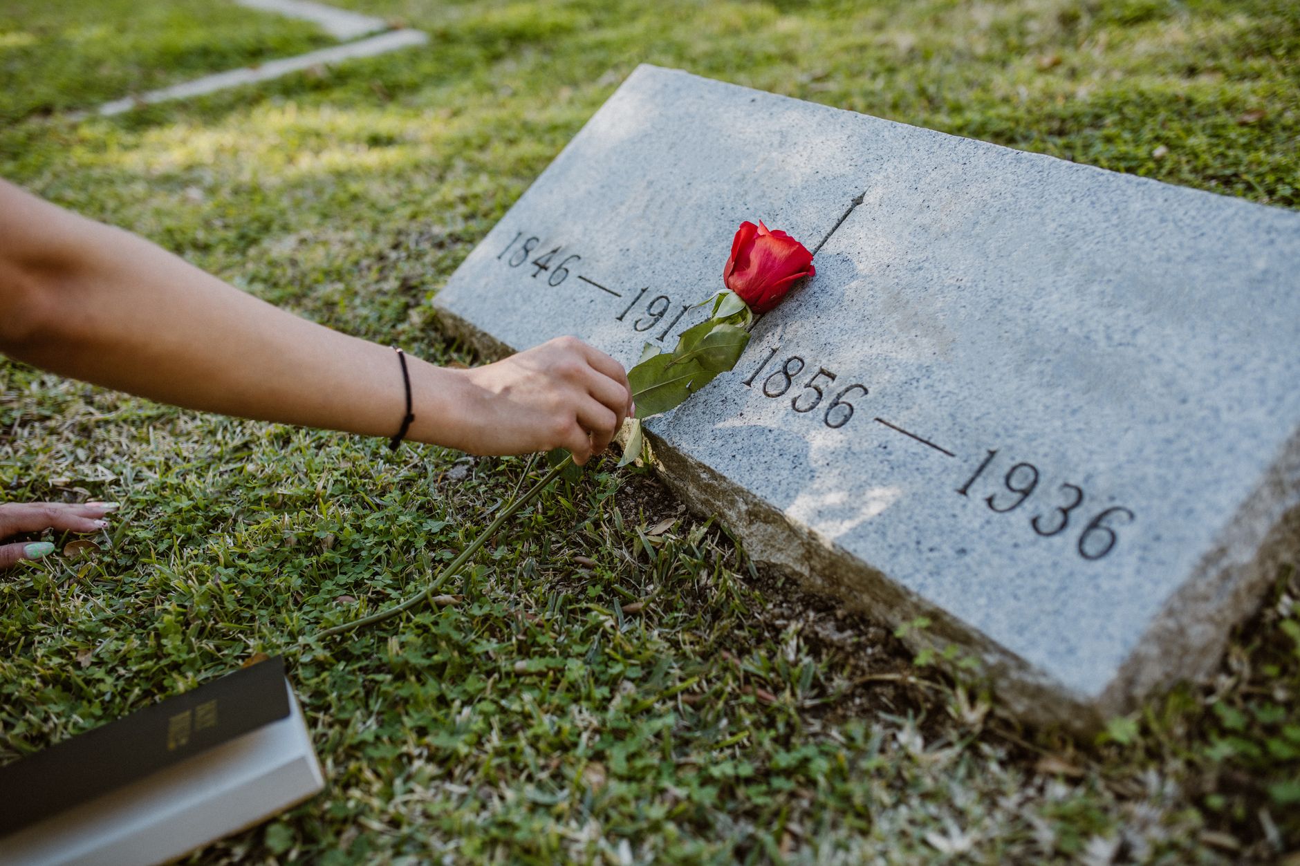 A red rose placed on a gravestone in a grassy cemetery, symbolizing remembrance and love
